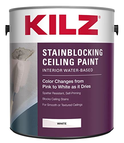 Best Paint for Ceiling in Bathroom