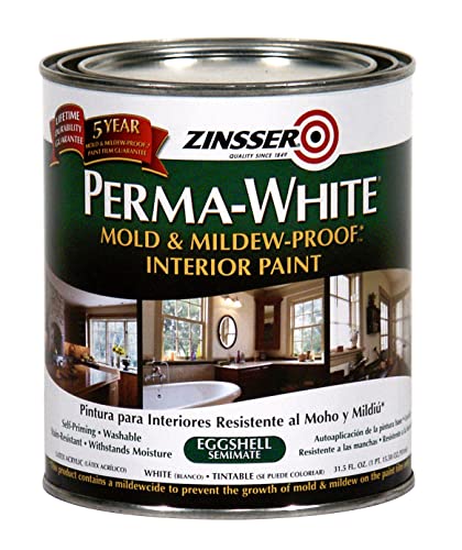 Best Paint for High Moisture Bathroom