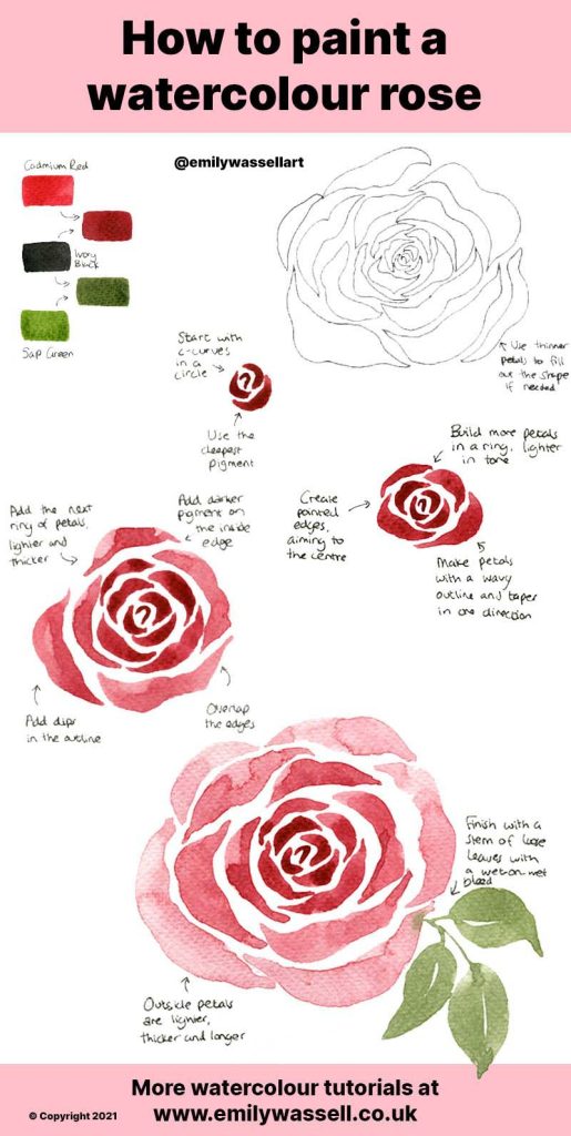 How to Paint a Rose