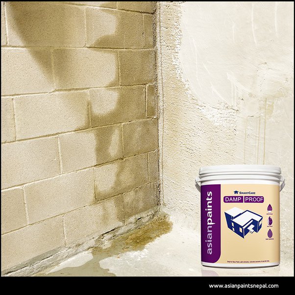 Types of Waterproof Paint